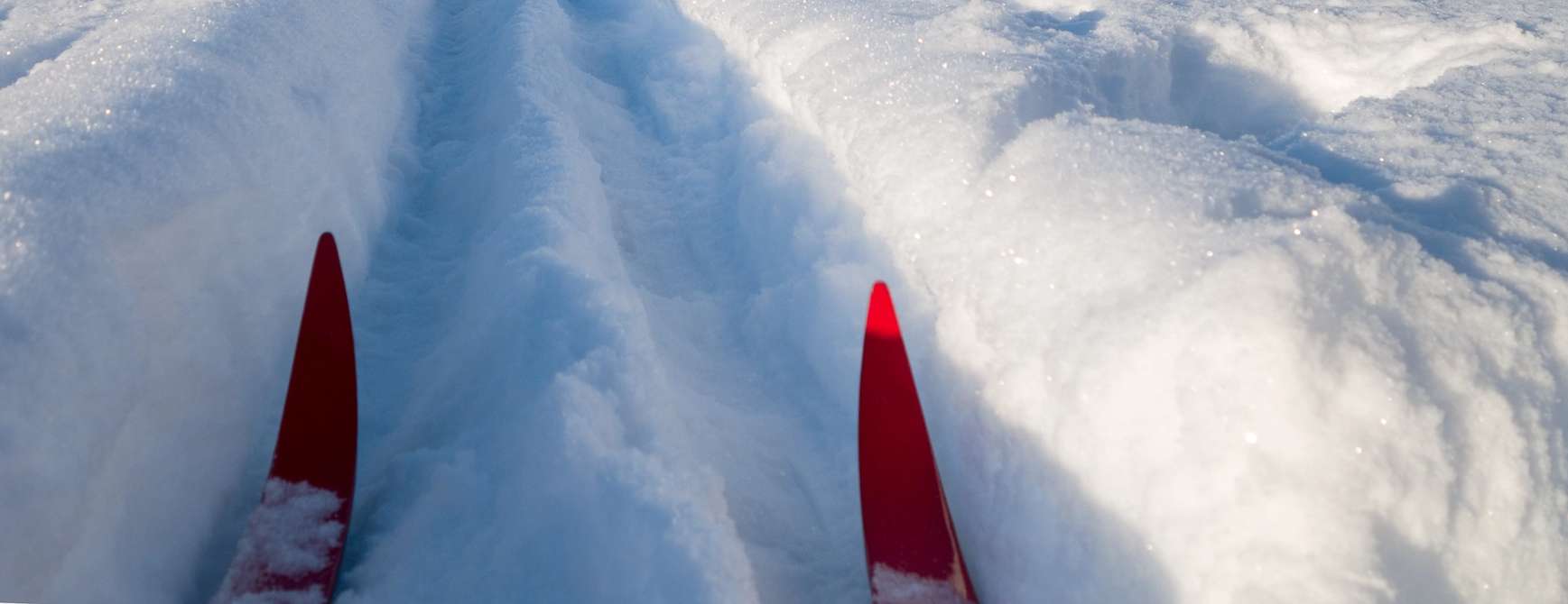 Foto: Gettyimages