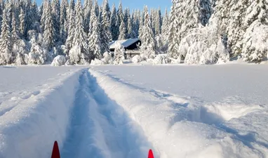 Skilanglauf