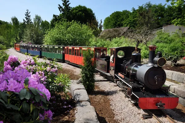 Toget går over savannen og gjennom skogene. Her kommer du tett på dyrelivet. Foto: Ree Park Safari