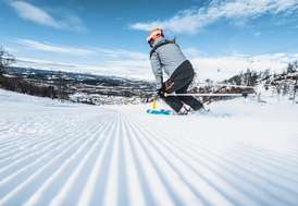 overholdelse vejledning Søgemaskine optimering Skiudlejning i Rauland Skicenter | Fjord Line