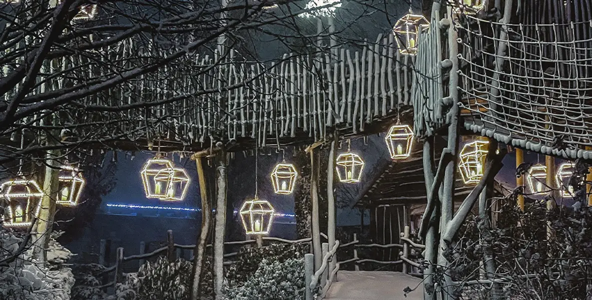 Julebelysning i Aalborg Zoo