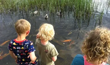 Besøg den hyggelige "Guldfiskesø", Skårsvatnet