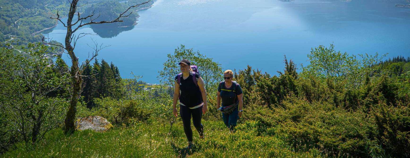 Two women on a hike in green surroundings with a fjord and mountains in the background.