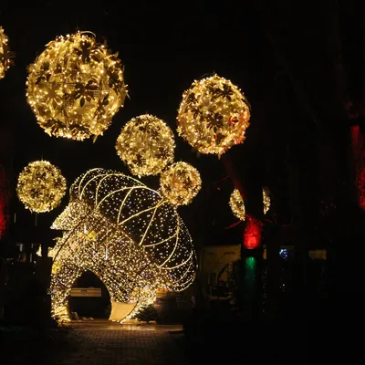 Julebelysning i Aalborg Zoo