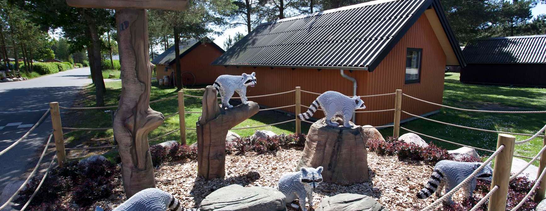 Utstilling av vaskebjørner i lego inngjerdet