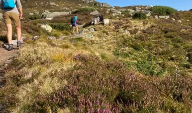 Hike to Blåfjellenden – Idyllic hike in Fjord Norway