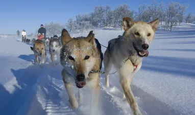 Erlebnisse abseits der Piste in Sirdal