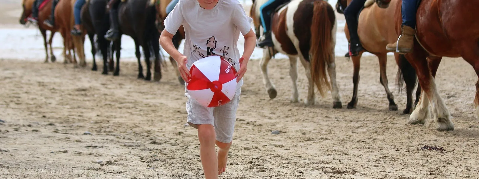 Barna storkoser seg på den langstrakte stranden ved Skallerup Seaside Resort
