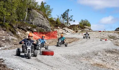 Mountain Cart in Sirdal