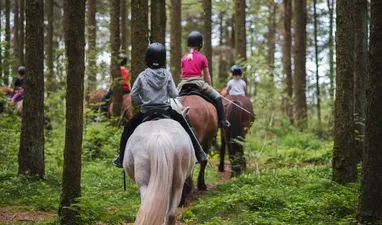 Guided rides on Icelandic horses