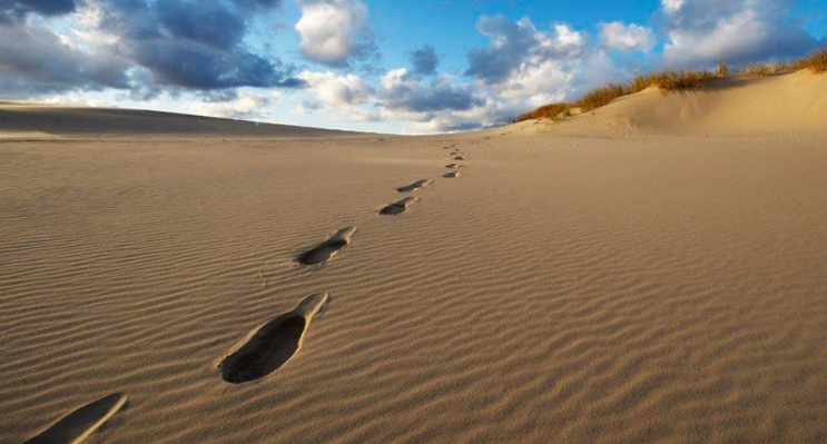 Ikke et sted for sandskeptikere. Foto: Visit Aalborg