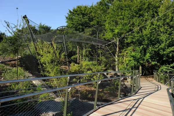 God tilrettelagt. Hengebroer og stier finnes overalt. Selvsagt med trygt og beskyttet for parkens kjøttetere. Foto: Fjord Line