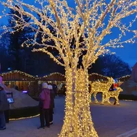 Lysdekorasjoner i skulpturparken.