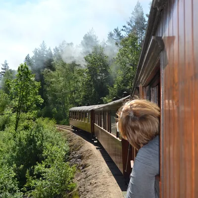 Back of person out of window of old train