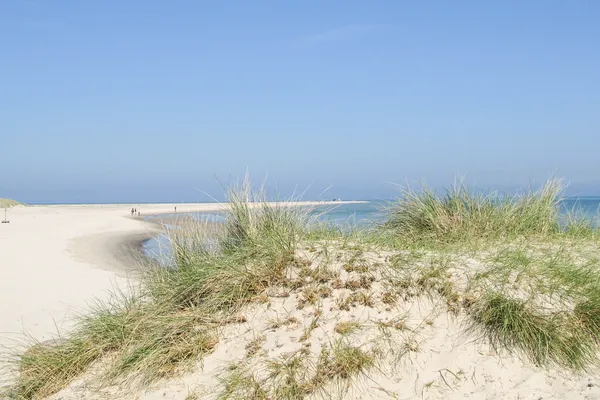 Grenen - der Skagerak møter Kattegat