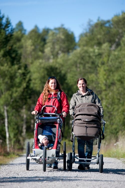 Hegni Friluftsområde - Sjov og afslapning i smukke omgivelser