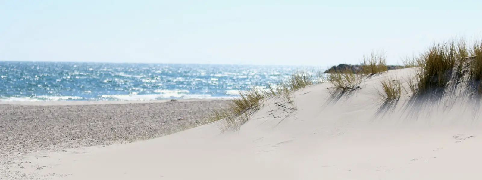 Foto av strand og sanddyner.