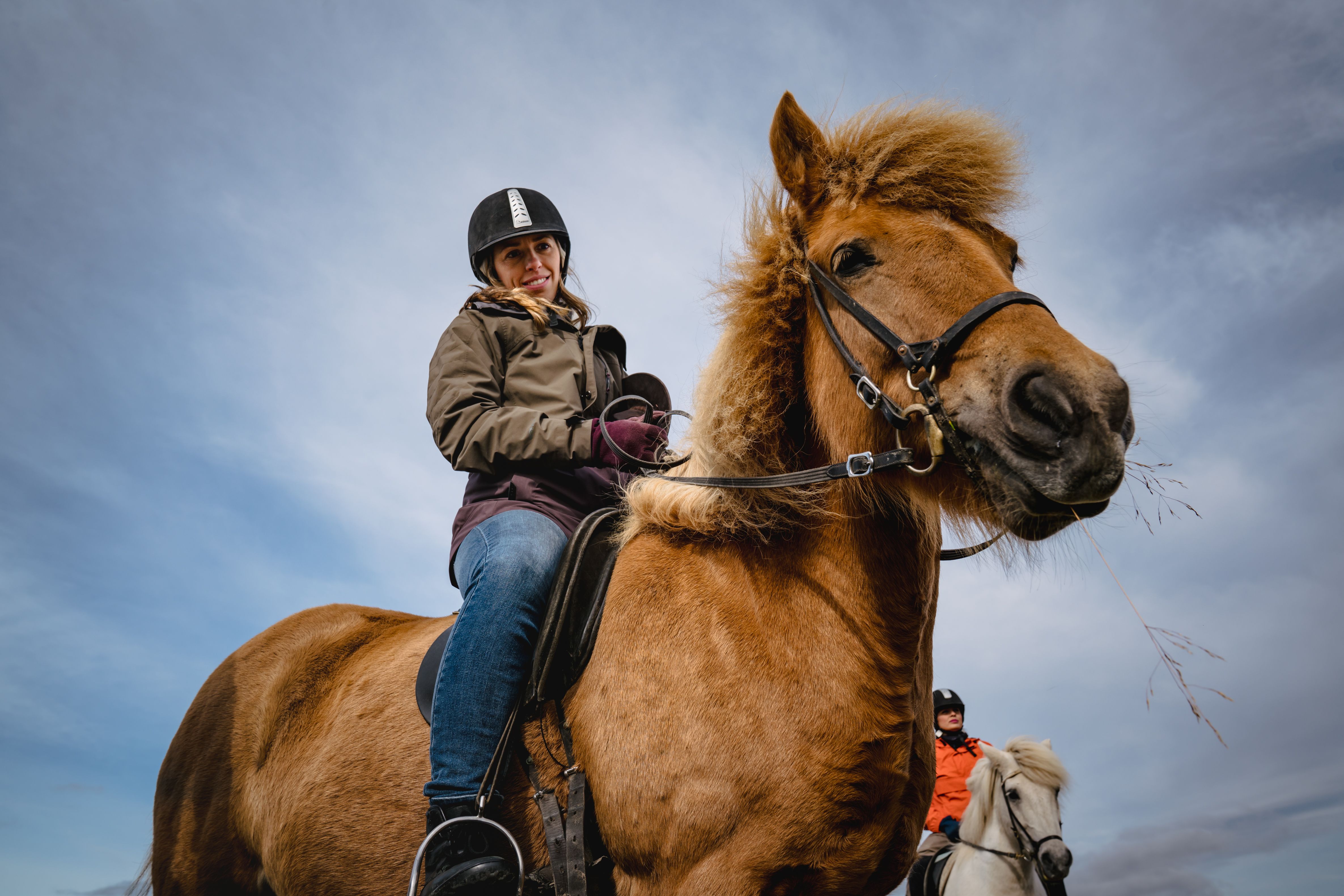 Experience the Norwegian mountains on horseback