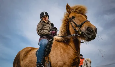 Experience the Norwegian mountains on horseback