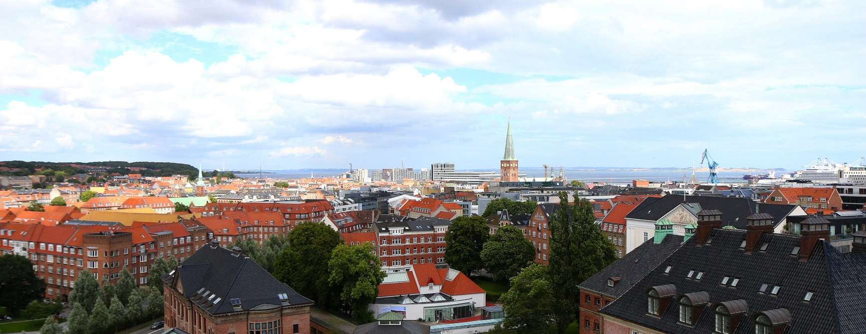 Et skue over Aarhus fra et av byens mange tak