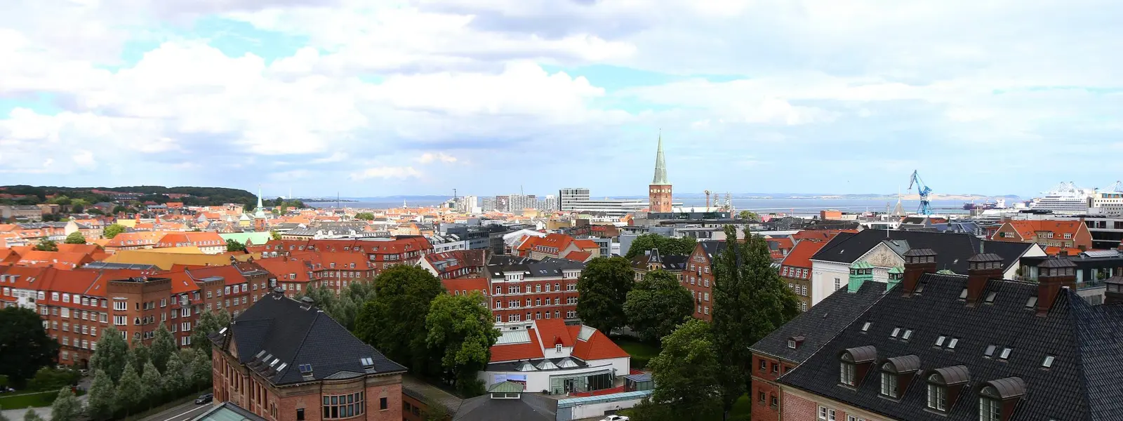 Et skue over Aarhus fra et av byens mange tak