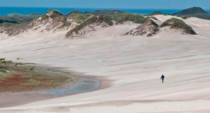 Månelandskap. De enorme mengdene med sand, har skapt, og skaper stadig, et fascinerende landskap. Foto: Visit Denmark