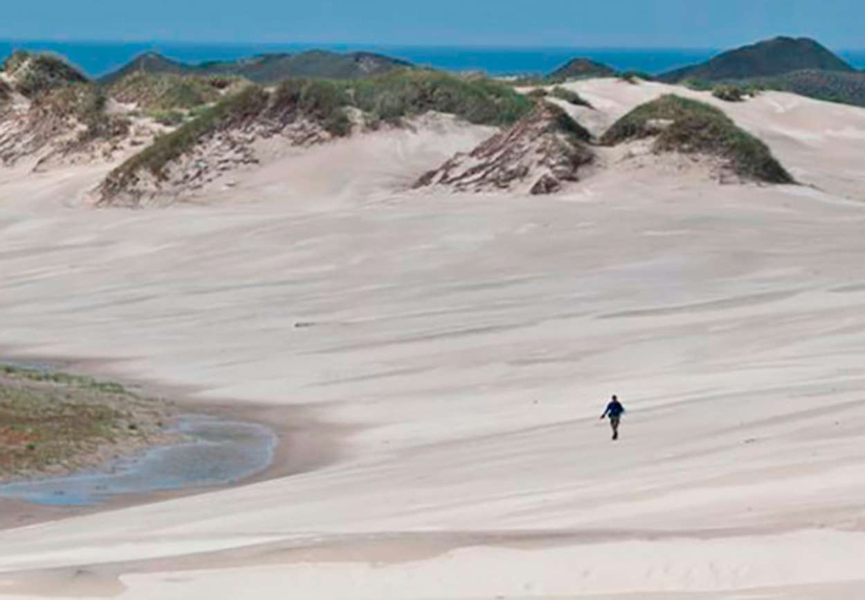 Månelandskap. De enorme mengdene med sand, har skapt, og skaper stadig, et fascinerende landskap. Foto: Visit Denmark