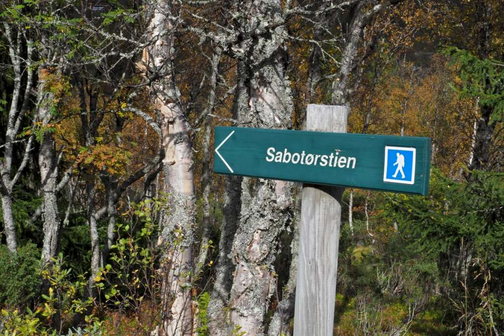 a sign pointing to the saboteur trail