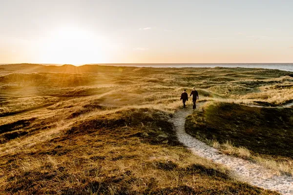 Opplev vill og vakker natur i Thy nasjonalpark. Foto: Mette Johnsen