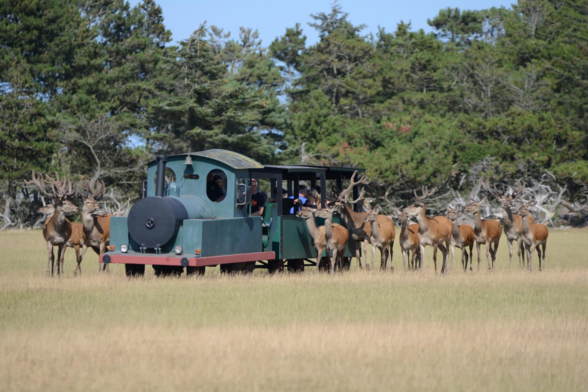 Fun Park Hirtshals - En dag fylt med dyr og moro