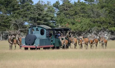 Fun Park Hirtshals - En dag fylt med dyr og moro