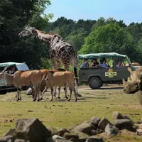 Foto: Ree Park Safari