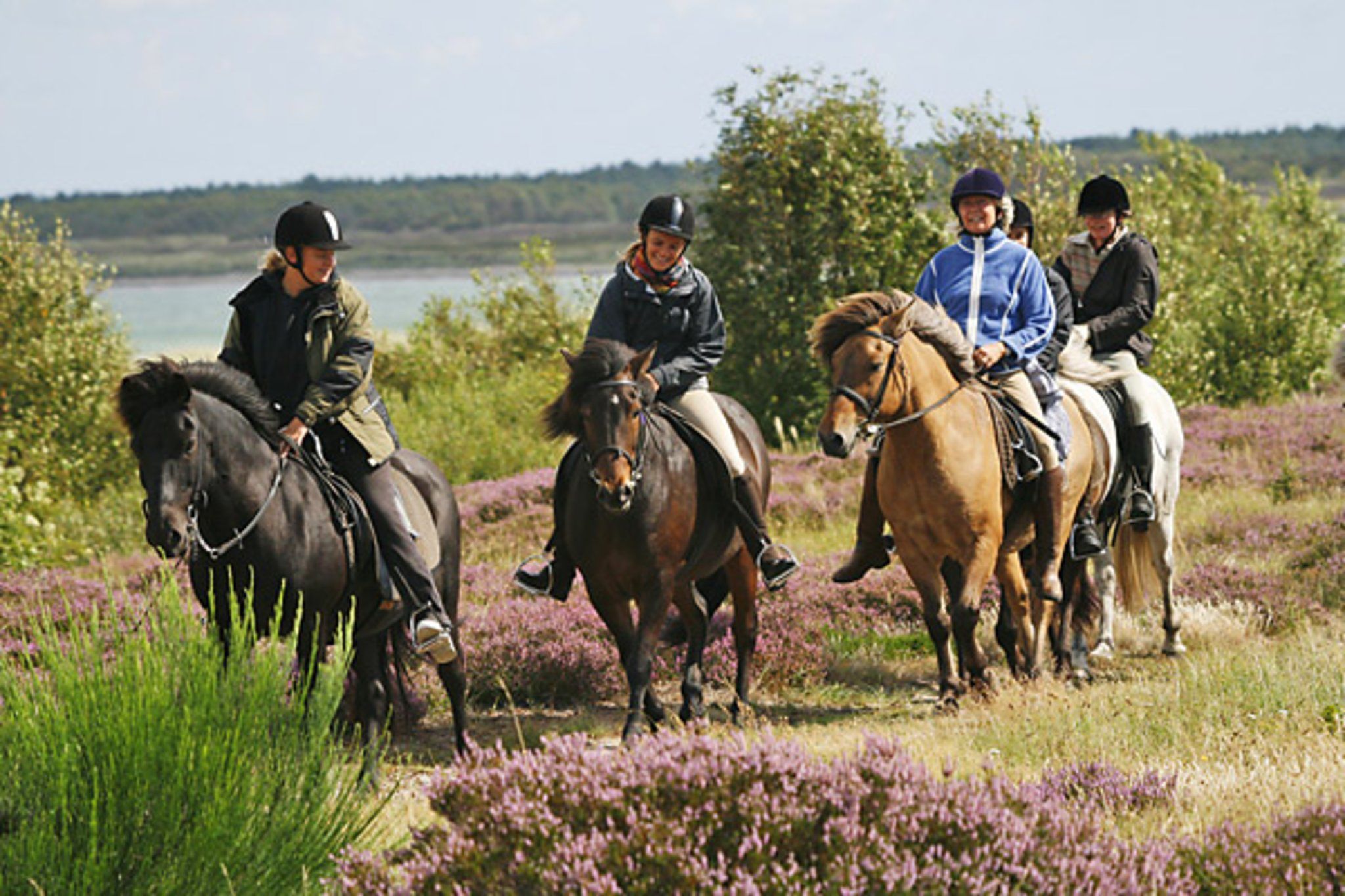 Eldorado for deg som liker å ri. Foto: Visit Læsø