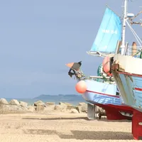 Typisk. Blå fiskebåter på stranden. Foto: Fjord Line