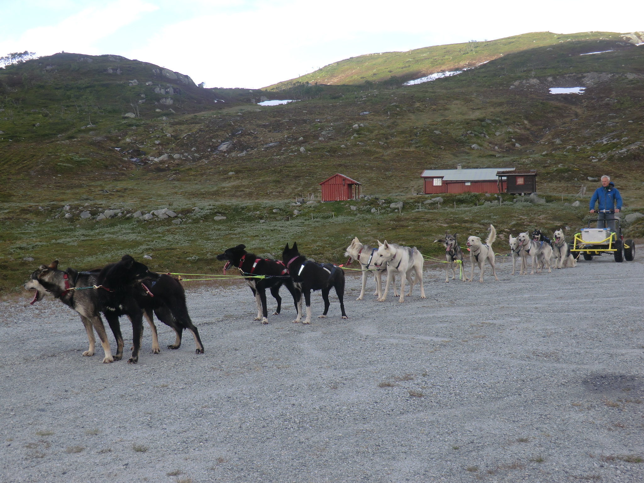 Hundeslædekørsel med Haukeli Husky