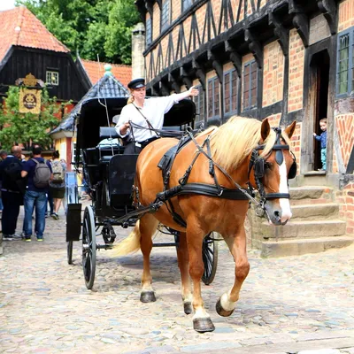 Bilde av hest og kjerre på brostein blant gamle hus