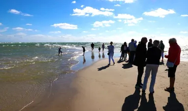 Grenen