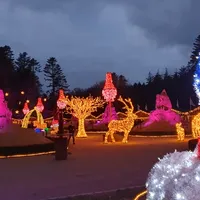 Lysdekorasjoner i skulpturparken