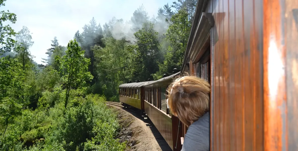 Back of person out of window of old train