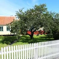 Foto: Fjord Line