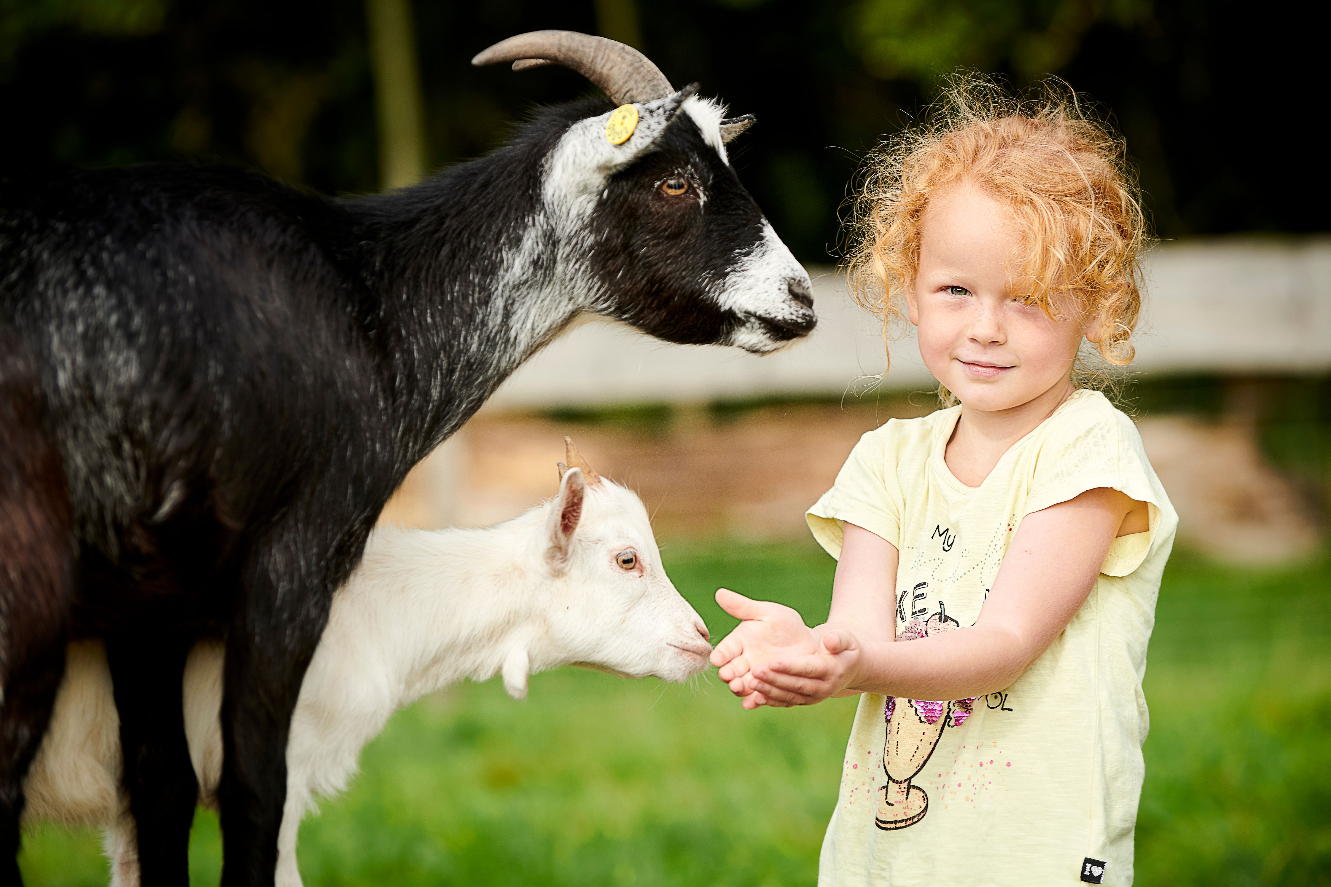 Jente mater geiter i Wow Park