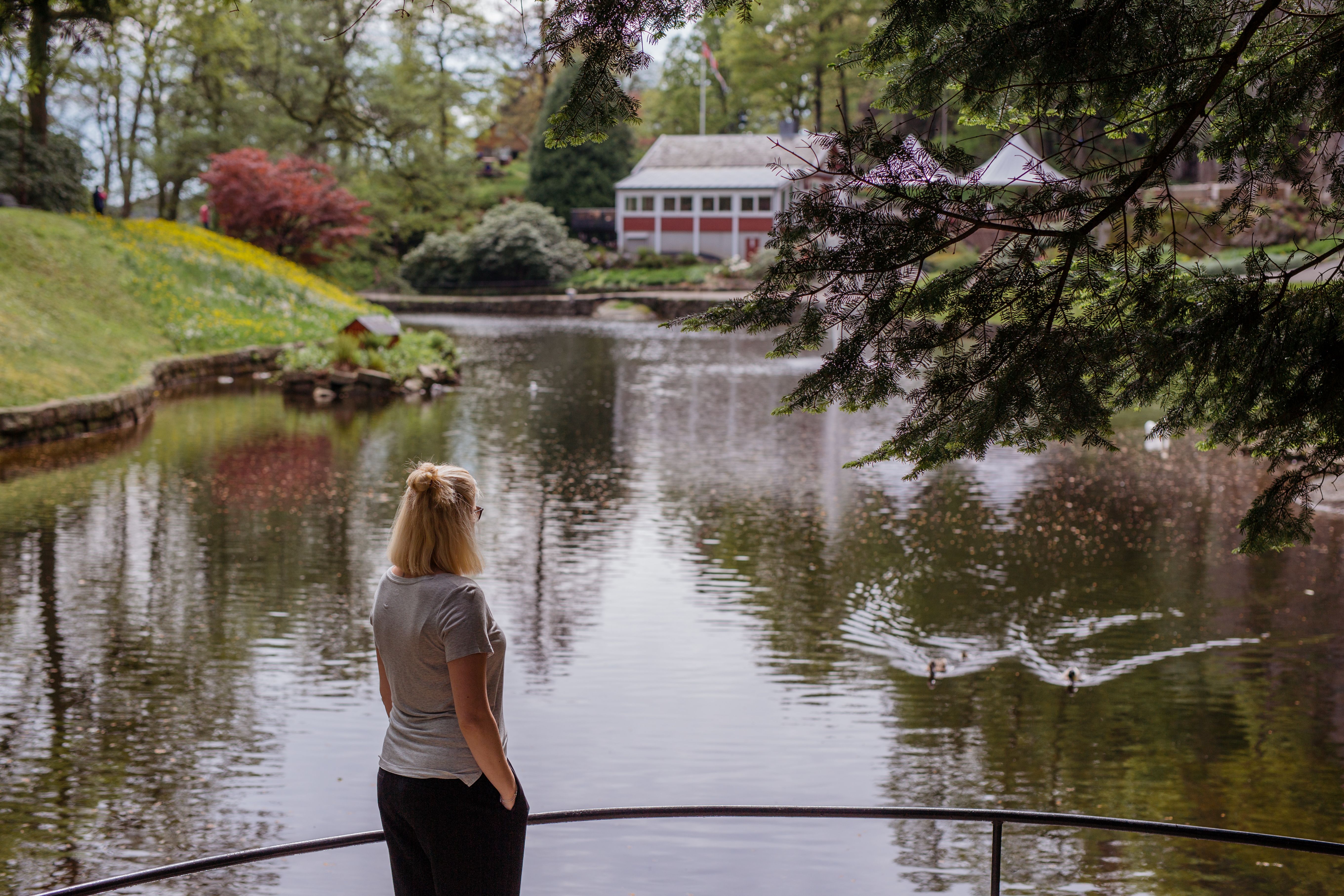 A lady stands and looks out over a body of water