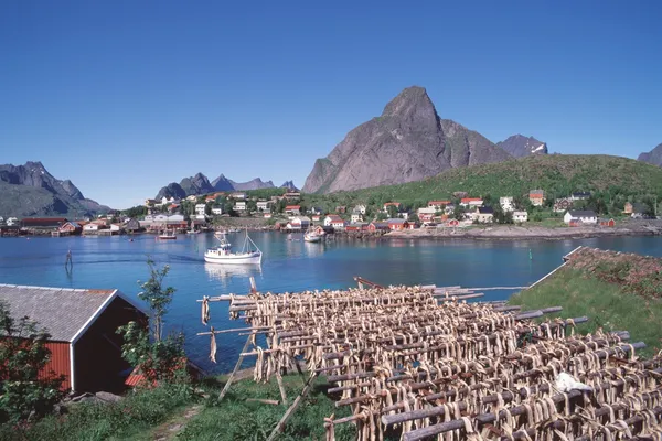 Reine på Lofoten.