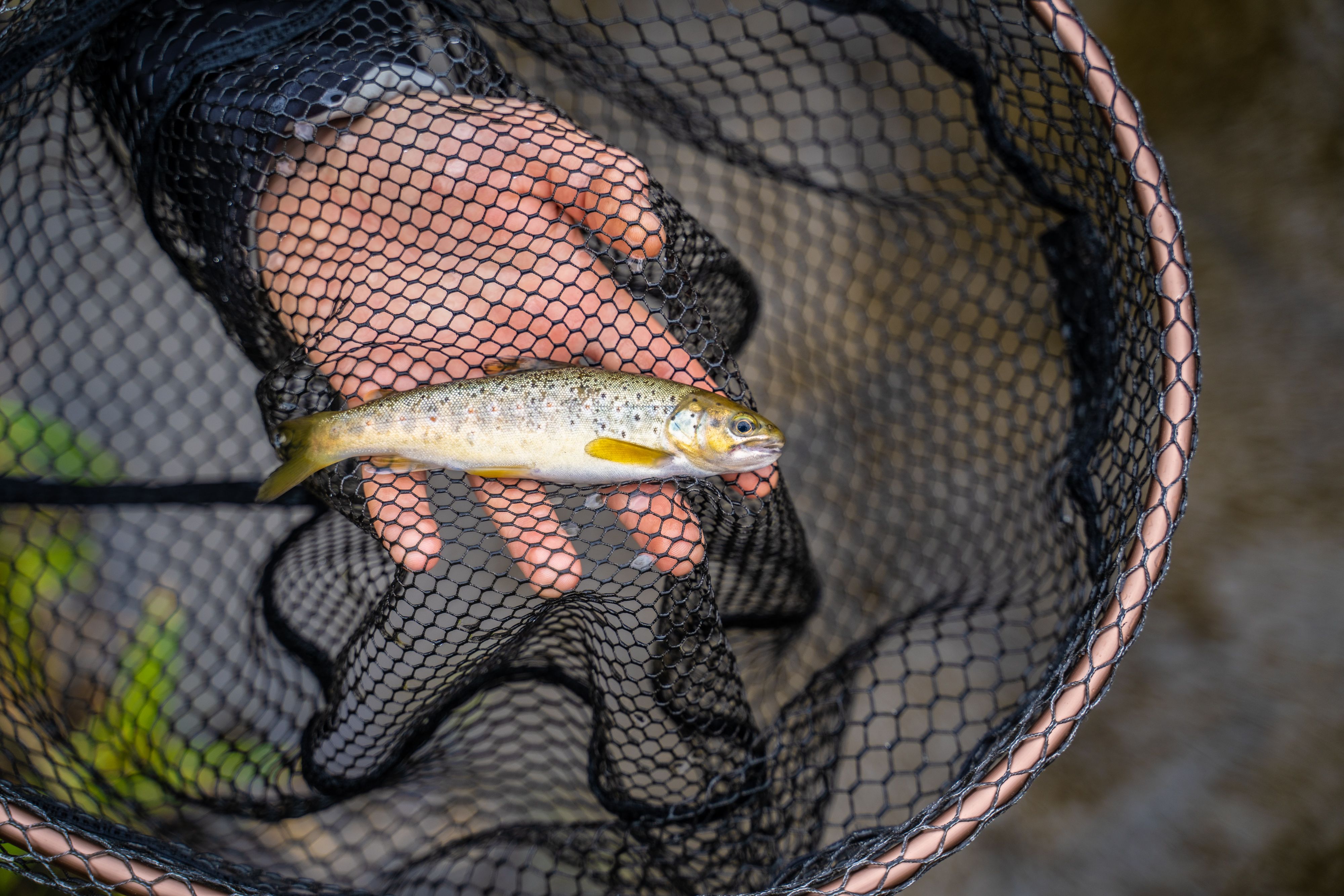 Guided fishing tours for the whole family