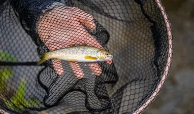 Guided fishing tours for the whole family