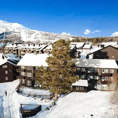 an aerial view of a ski resort covered in snow with a mountain in the background .