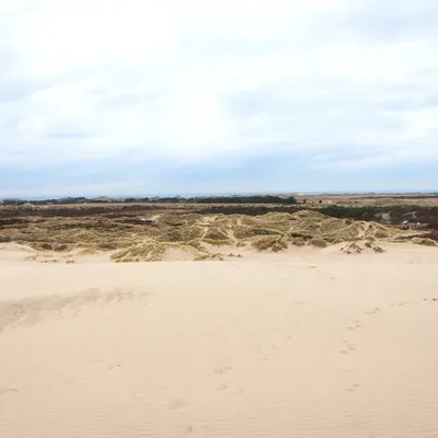 Sand i lange baner. Et fascinerende skue. Foto: Fjord Line