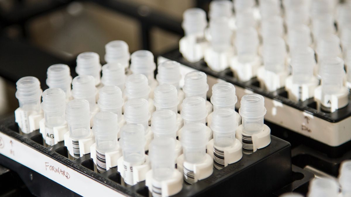 Test vials