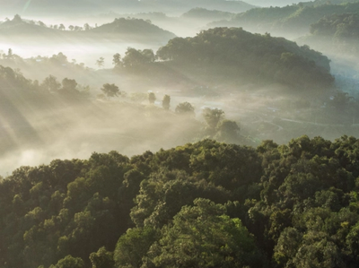 INVISIBLE TECH: Monsoon Tea combines IoT and blockchain to create the world's first AI-powered tea traceability project