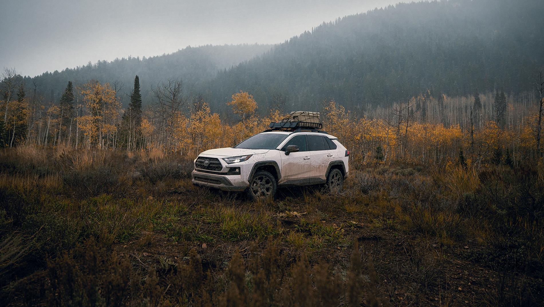 white Toyota RAV4 with cargo rack on roof rails in a meadow on a mountain